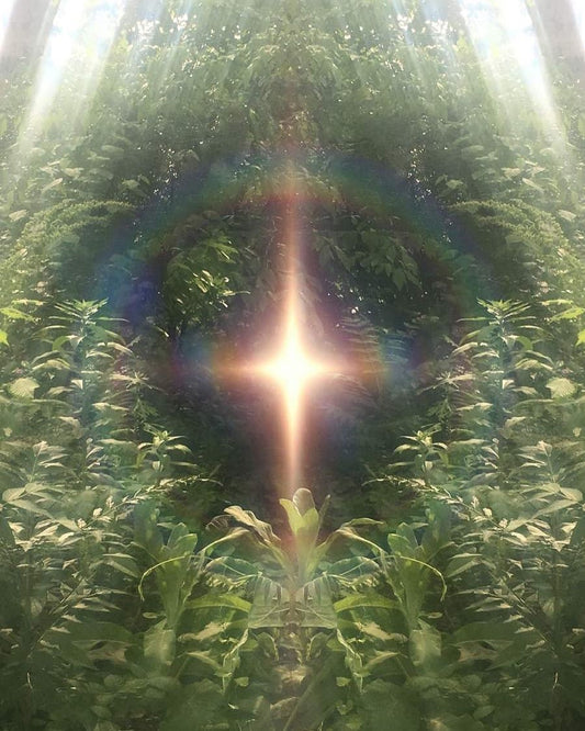 Happy Spring Equinox